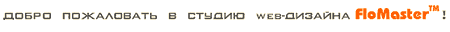 ������ web-������� FloMaster